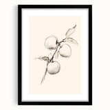 Minimalist Wall Art – Simple Botanical Line Art Prints for Modern Decor