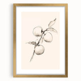 Minimalist Wall Art – Simple Botanical Line Art Prints for Modern Decor