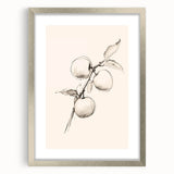 Minimalist Wall Art – Simple Botanical Line Art Prints for Modern Decor