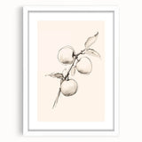 Minimalist Wall Art – Simple Botanical Line Art Prints for Modern Decor
