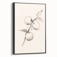 Minimalist Wall Art – Simple Botanical Line Art Prints for Modern Decor