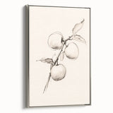 Minimalist Wall Art – Simple Botanical Line Art Prints for Modern Decor