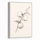 Minimalist Wall Art – Simple Botanical Line Art Prints for Modern Decor