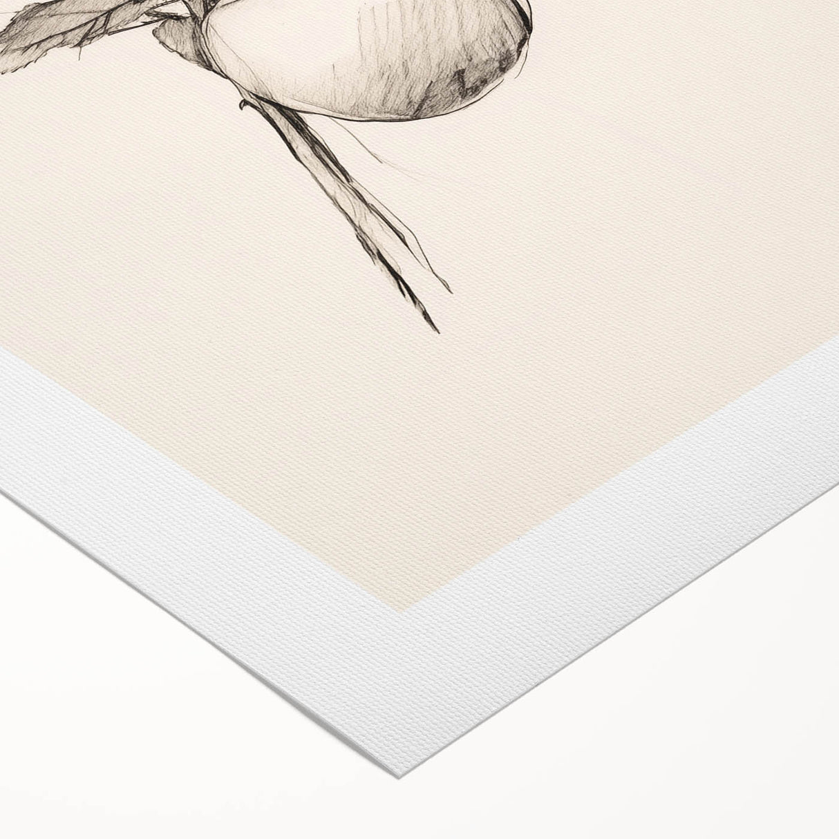 Minimalist Wall Art – Simple Botanical Line Art Prints for Modern Decor