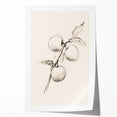 Minimalist Wall Art – Simple Botanical Line Art Prints for Modern Decor