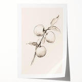 Minimalist Wall Art – Simple Botanical Line Art Prints for Modern Decor