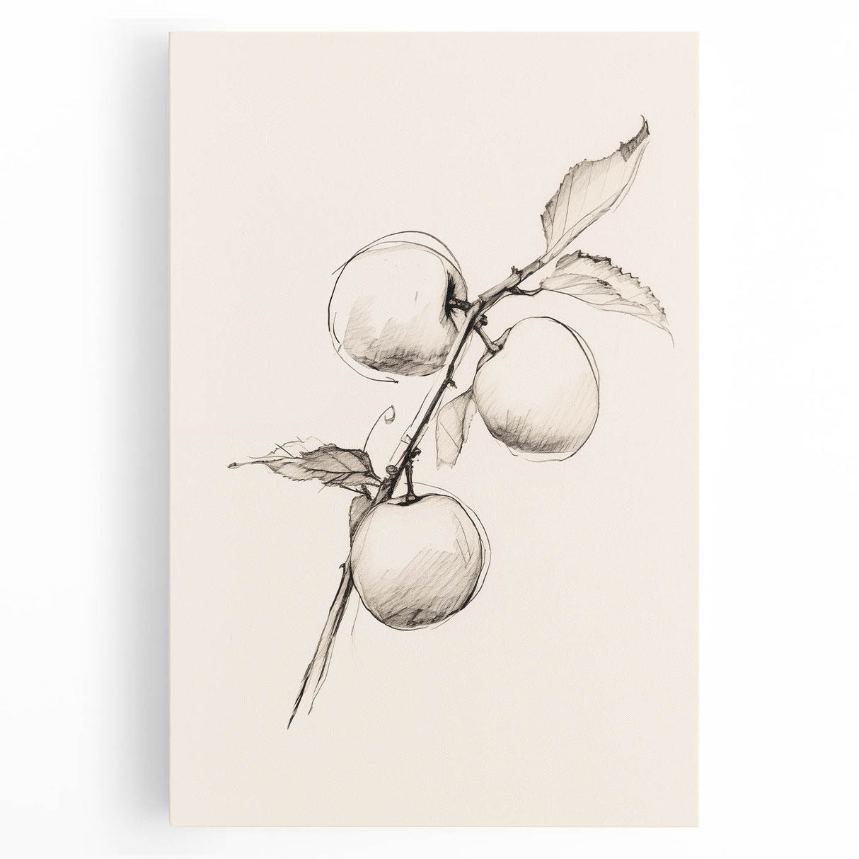 Minimalist Wall Art – Simple Botanical Line Art Prints for Modern Decor
