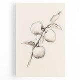 Minimalist Wall Art – Simple Botanical Line Art Prints for Modern Decor
