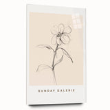 Minimalist Floral Wall Art – Simple Botanical Sketch Art for Modern Decor