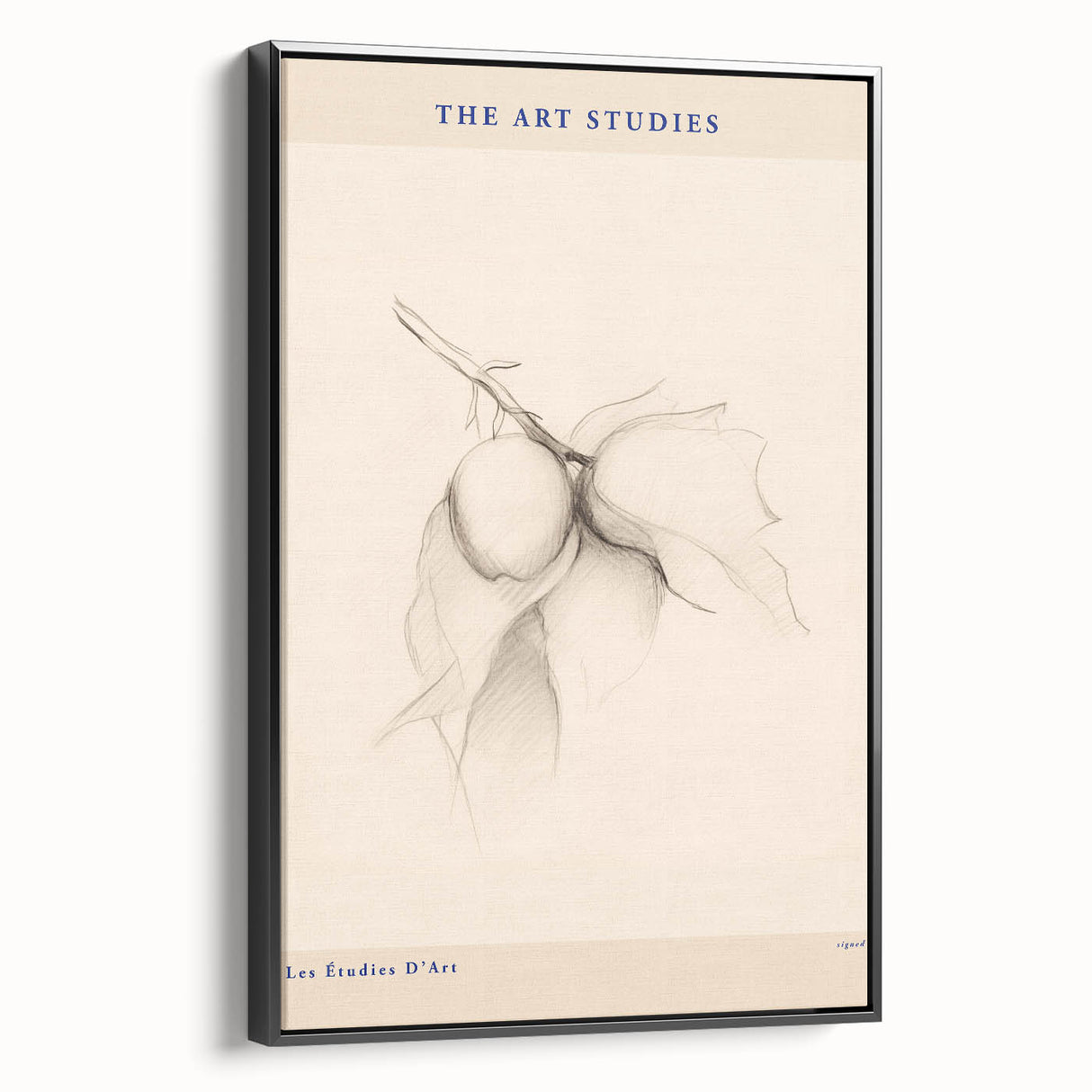 Minimalist Botanical Art – Elegant Sketch Art Print for Modern Home Decor