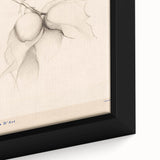 Minimalist Botanical Art – Elegant Sketch Art Print for Modern Home Decor