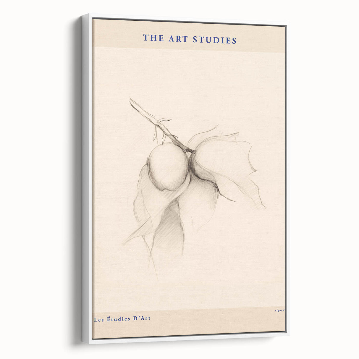 Minimalist Botanical Art – Elegant Sketch Art Print for Modern Home Decor