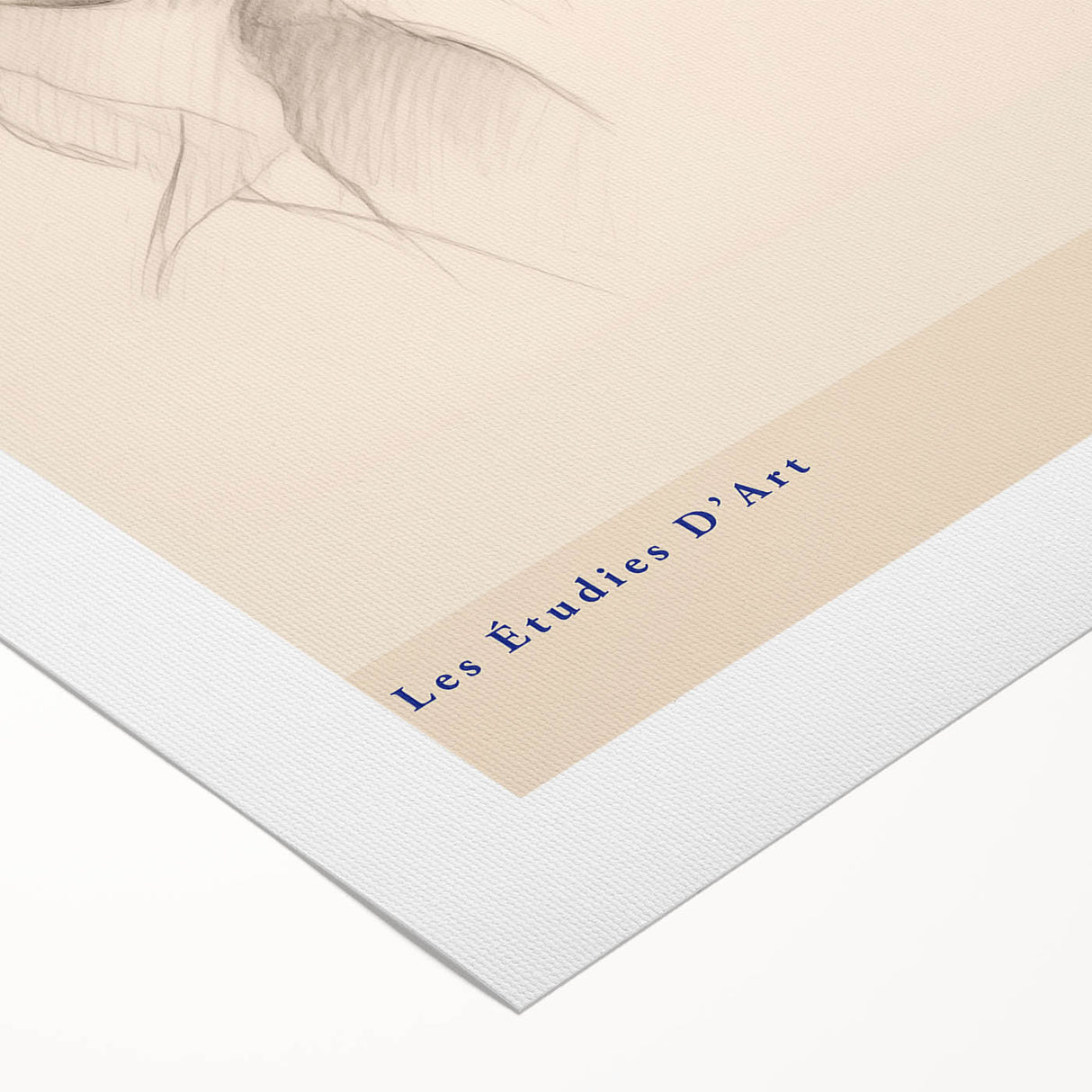Minimalist Botanical Art – Elegant Sketch Art Print for Modern Home Decor