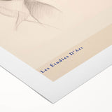 Minimalist Botanical Art – Elegant Sketch Art Print for Modern Home Decor