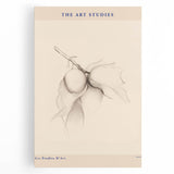 Minimalist Botanical Art – Elegant Sketch Art Print for Modern Home Decor