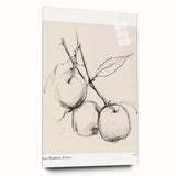 Minimalist Botanical Sketch – Modern Fruit Illustration Art for Home Decor