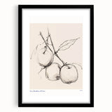 Minimalist Botanical Sketch – Modern Fruit Illustration Art for Home Decor