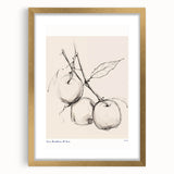 Minimalist Botanical Sketch – Modern Fruit Illustration Art for Home Decor