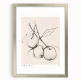 Minimalist Botanical Sketch – Modern Fruit Illustration Art for Home Decor