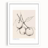 Minimalist Botanical Sketch – Modern Fruit Illustration Art for Home Decor