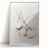 Minimalist Botanical Sketch – Modern Fruit Illustration Art for Home Decor