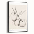 Minimalist Botanical Sketch – Modern Fruit Illustration Art for Home Decor