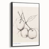 Minimalist Botanical Sketch – Modern Fruit Illustration Art for Home Decor