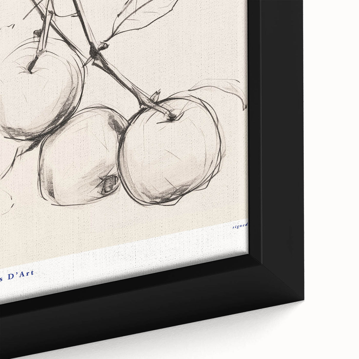 Minimalist Botanical Sketch – Modern Fruit Illustration Art for Home Decor