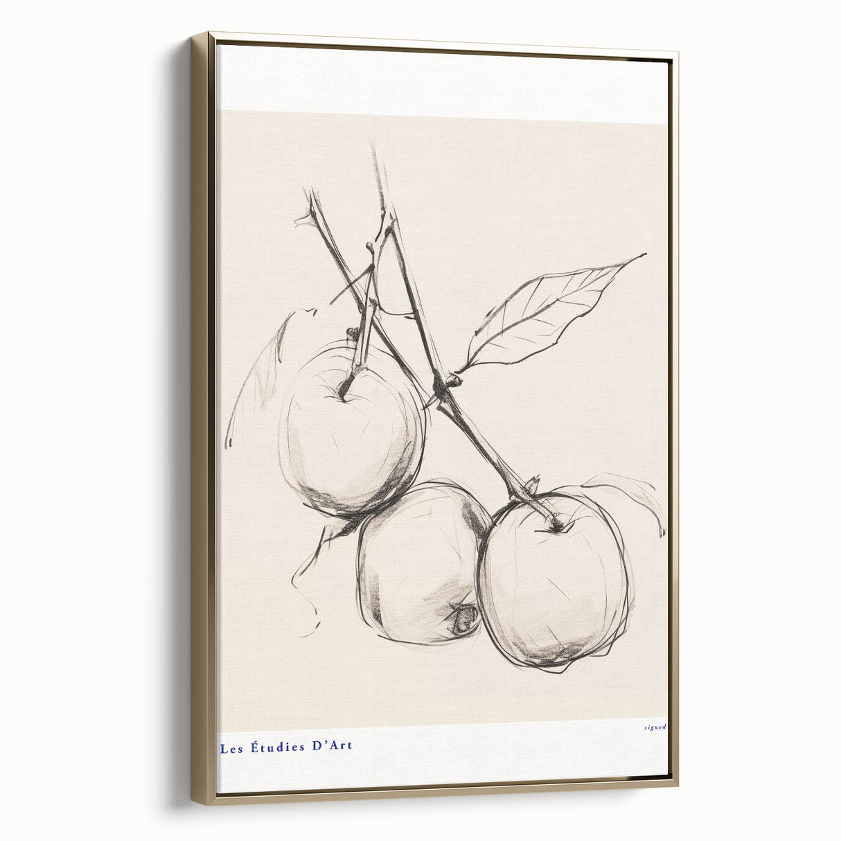 Minimalist Botanical Sketch – Modern Fruit Illustration Art for Home Decor