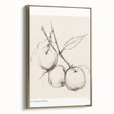 Minimalist Botanical Sketch – Modern Fruit Illustration Art for Home Decor