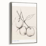 Minimalist Botanical Sketch – Modern Fruit Illustration Art for Home Decor