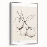 Minimalist Botanical Sketch – Modern Fruit Illustration Art for Home Decor