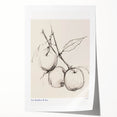 Minimalist Botanical Sketch – Modern Fruit Illustration Art for Home Decor