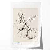 Minimalist Botanical Sketch – Modern Fruit Illustration Art for Home Decor