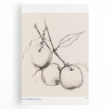 Minimalist Botanical Sketch – Modern Fruit Illustration Art for Home Decor