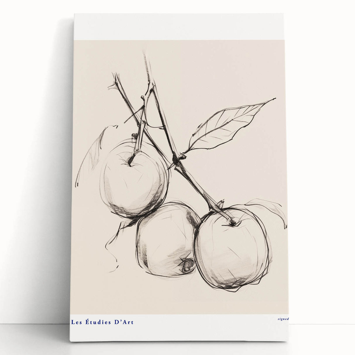 Minimalist Botanical Sketch – Modern Fruit Illustration Art for Home Decor