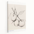 Minimalist Botanical Sketch – Modern Fruit Illustration Art for Home Decor