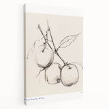 Minimalist Botanical Sketch – Modern Fruit Illustration Art for Home Decor