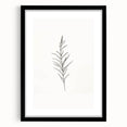 Minimalist Botanical Wall Art - Elegant Floral Design for Modern Decor