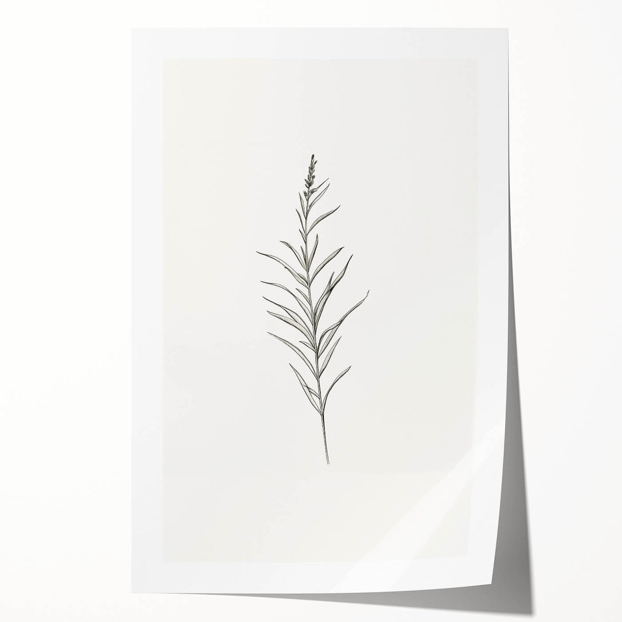 Minimalist Botanical Wall Art - Elegant Floral Design for Modern Decor