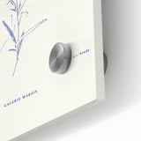 Minimalist Botanical Study – Elegant Floral Line Art for Modern Decor