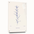 Minimalist Botanical Study – Elegant Floral Line Art for Modern Decor