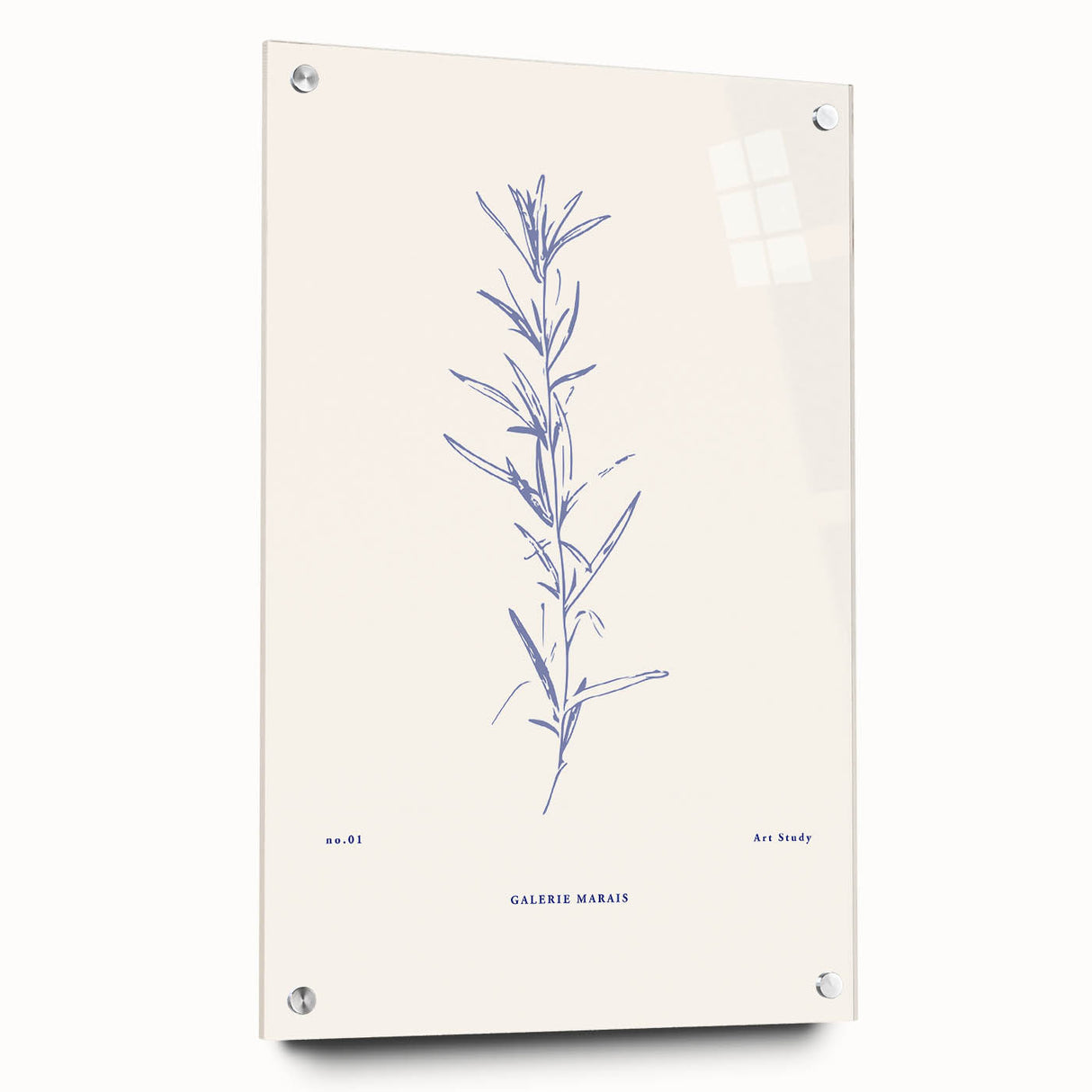 Minimalist Botanical Study – Elegant Floral Line Art for Modern Decor