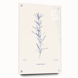 Minimalist Botanical Study – Elegant Floral Line Art for Modern Decor