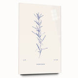 Minimalist Botanical Study – Elegant Floral Line Art for Modern Decor