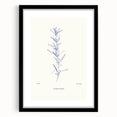 Minimalist Botanical Study – Elegant Floral Line Art for Modern Decor