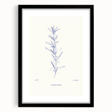 Minimalist Botanical Study – Elegant Floral Line Art for Modern Decor