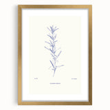 Minimalist Botanical Study – Elegant Floral Line Art for Modern Decor