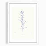 Minimalist Botanical Study – Elegant Floral Line Art for Modern Decor