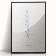 Minimalist Botanical Study – Elegant Floral Line Art for Modern Decor